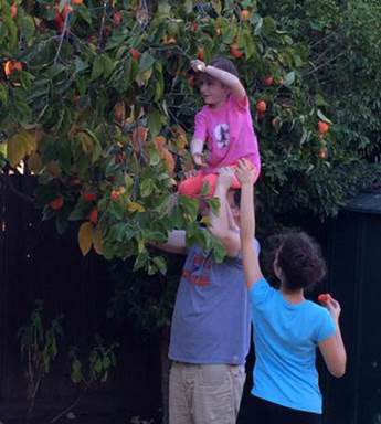 Persimmons Childhood Cancer Research St. Baldrick's Fundraiser