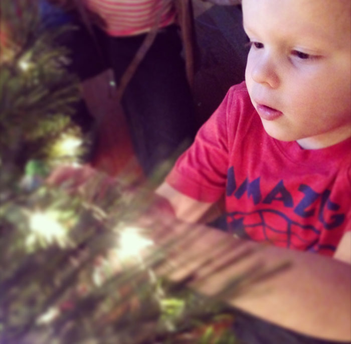 Chase hangs an ornament on a Christmas tree