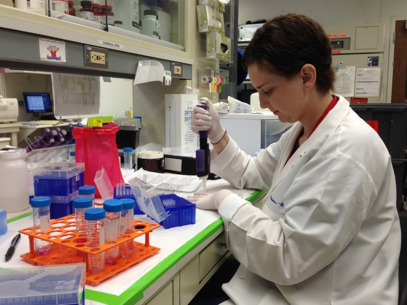 Lauren studied her own blood during an internship with St. Baldrick's Scholar Dr. Dean Lee