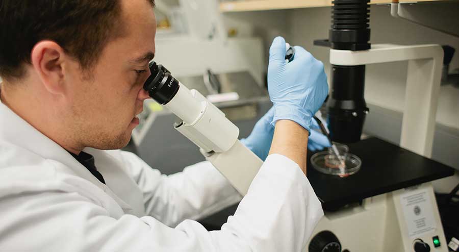 A researcher works in a lab