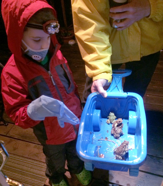 Phineas and his dad catching frogs