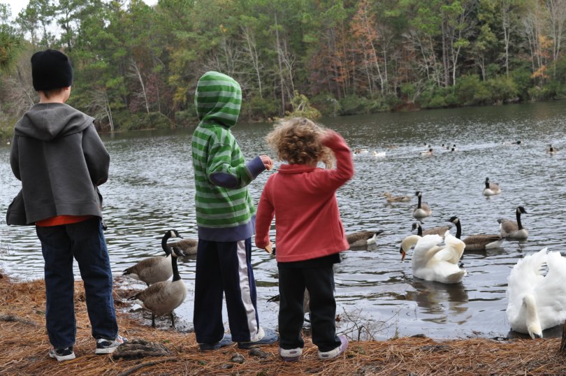 The Whitt siblings feeding geese at a campground in Savannah, Georgia