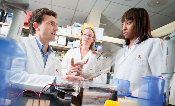 Dr. Mullighan with two researchers