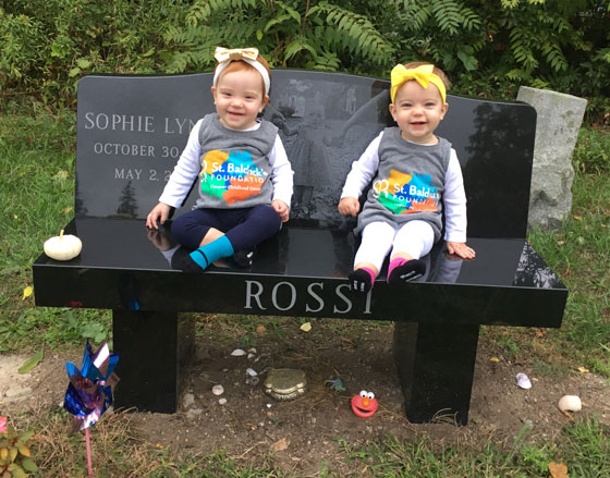 Sophie's memorial bench