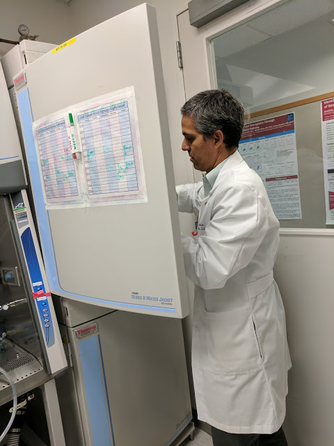 Dr. Nino Rainusso pulls samples from the incubator