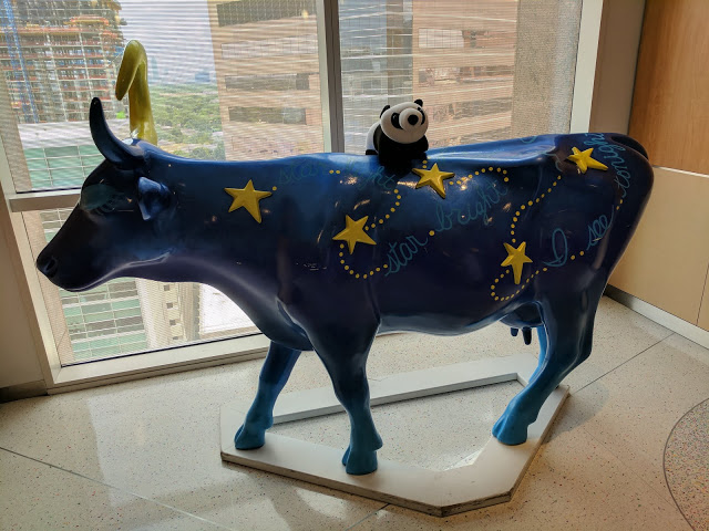 starry cow