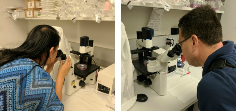 Judy and Harold Sanders look through microscopes