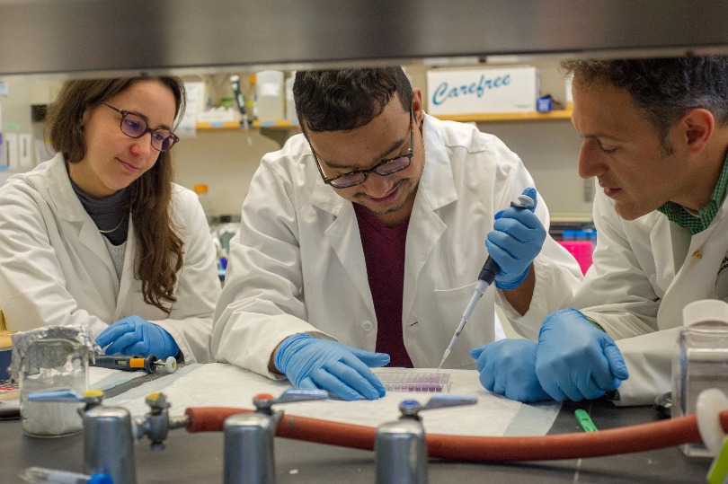 Dr. Beroukhim, Melanie Pages and Prasidda Khadka work on samples in the lab