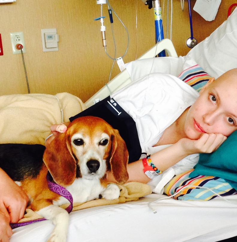 Zoe in her hospital bed with a beagle