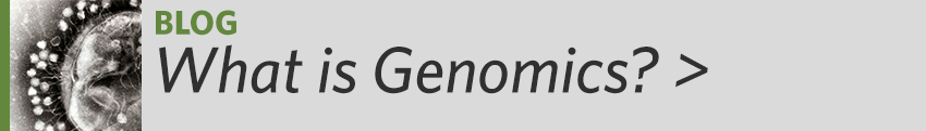 What is Genomics
