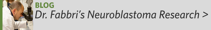 Dr. Fabbri's Neuroblastoma Research