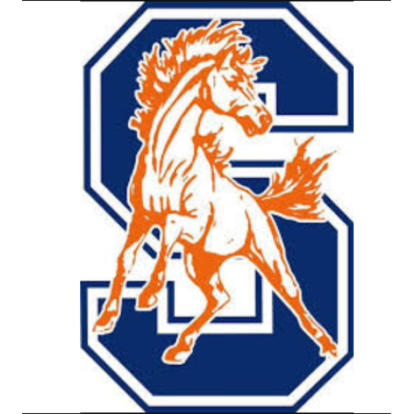 Stagg High School Annual St. Baldrick's School Event Event Logo