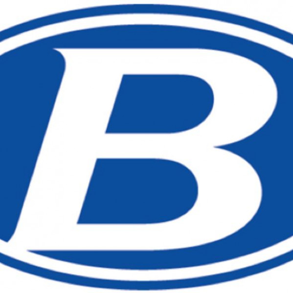 BHS St. Baldricks Fundraiser Event Logo