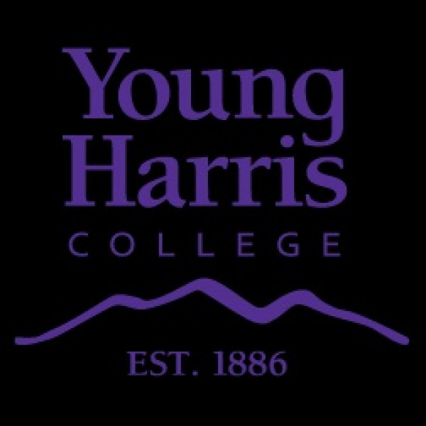 Rock the Bald- Young Harris Event Logo