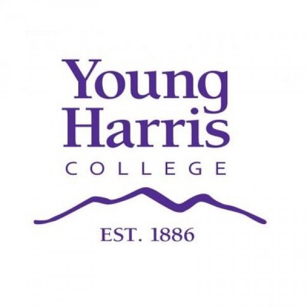 Rock the Bald- Young Harris Event Logo