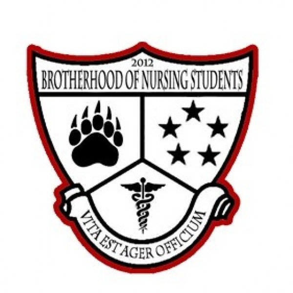Chamberlain College of Nursing Event Logo