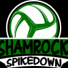 Shamrock Spike Down 6' and Under Quads Volleyball Tournament photo