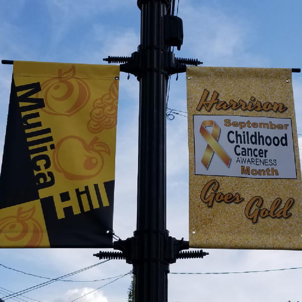 Harrison Township, NJ Goes Gold Fundraiser Logo