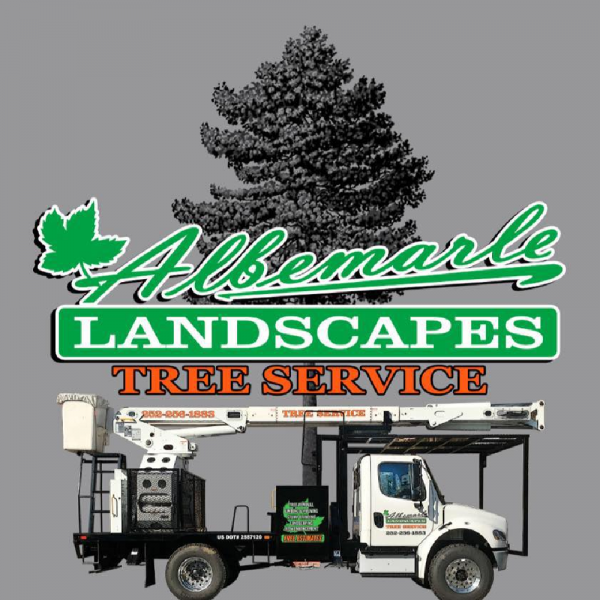 Albemarle Landscapes & Tree Service After