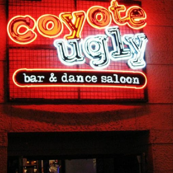 Coyote Ugly  Avatar