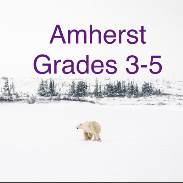 Amherst Grades 3-5 Avatar