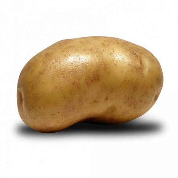 Love Potato Avatar