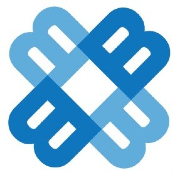 Benchmark Team Logo