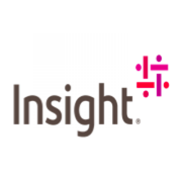 Insight Team Logo
