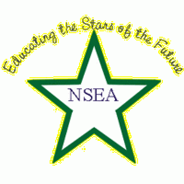 NSEA and Friends Team Logo