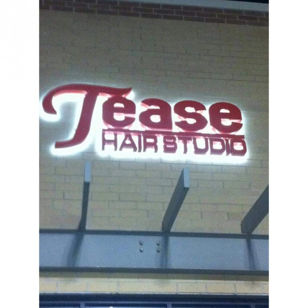 Tease Hair Studio&nbsp; Team Logo