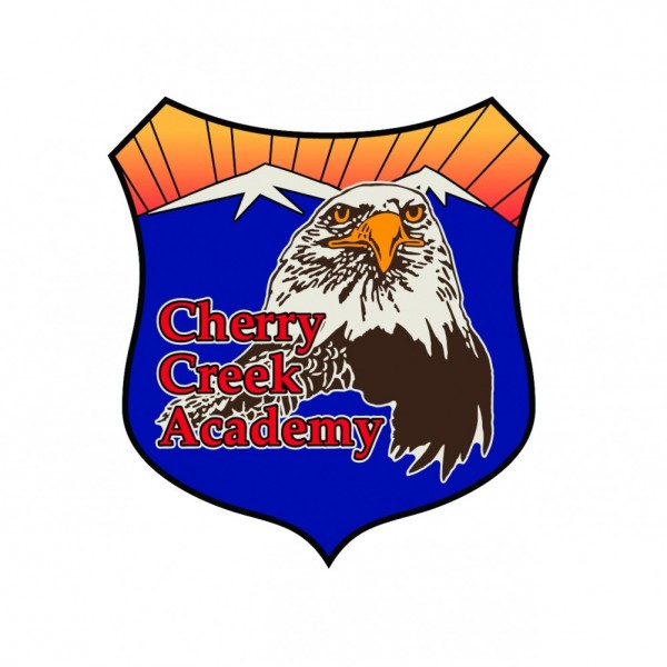 Team CCA Team Logo