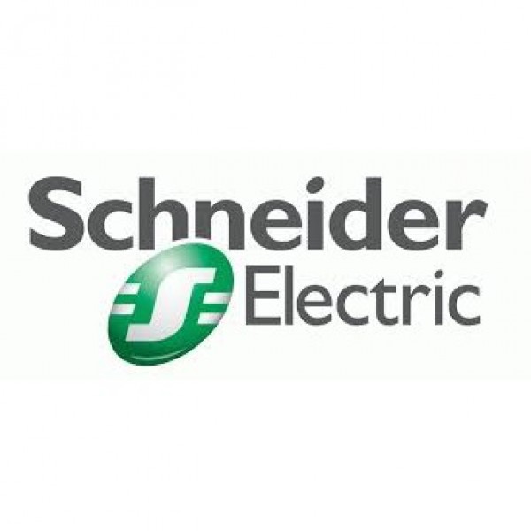 Schneider Electric Team Logo