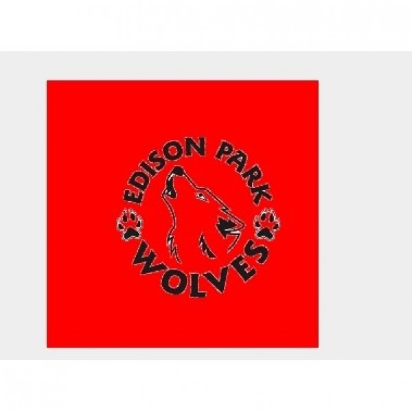 EPE Wolves Team Logo
