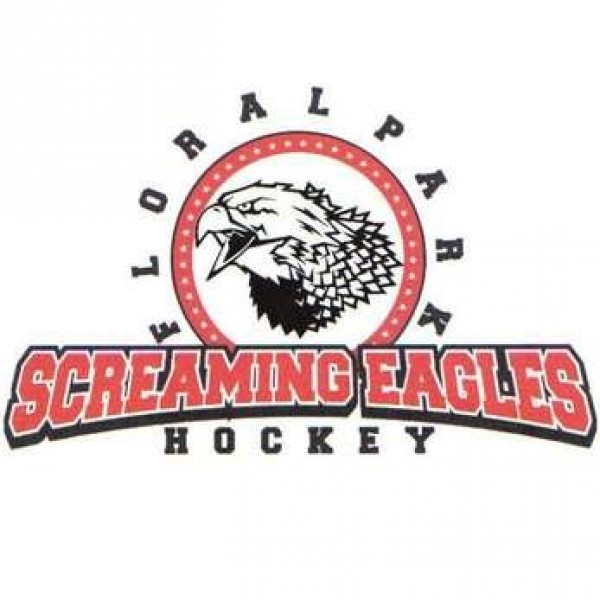 The St. Baldricks Screaming Eagles Team Logo