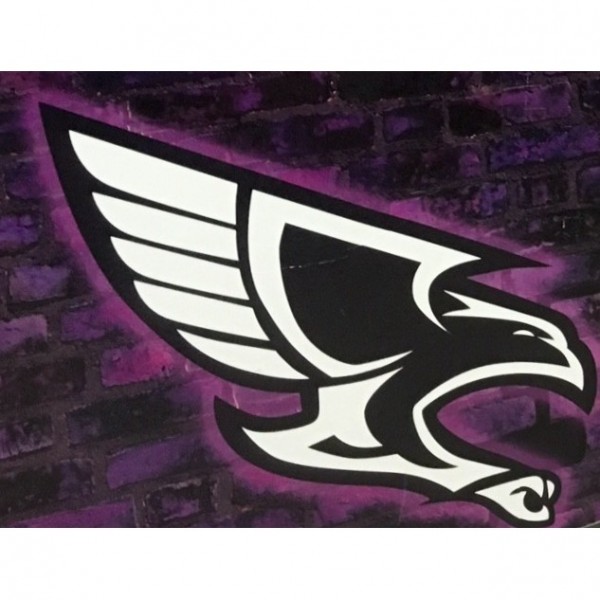 Four Points Featherless Falcons Team Logo