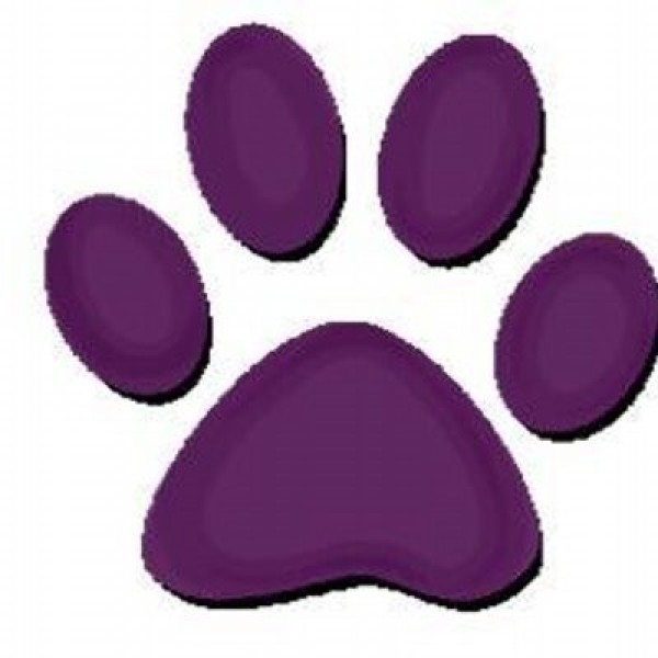 Purple Panthers Team Logo
