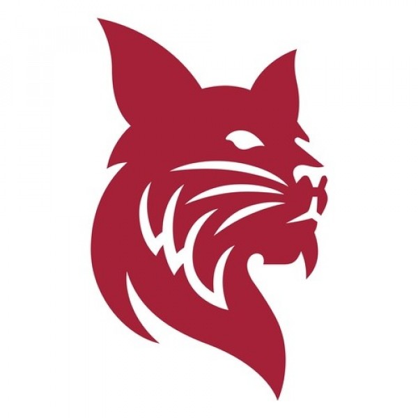 The Bobcats Team Logo