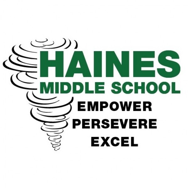 Hairless Hurricanes Team Logo