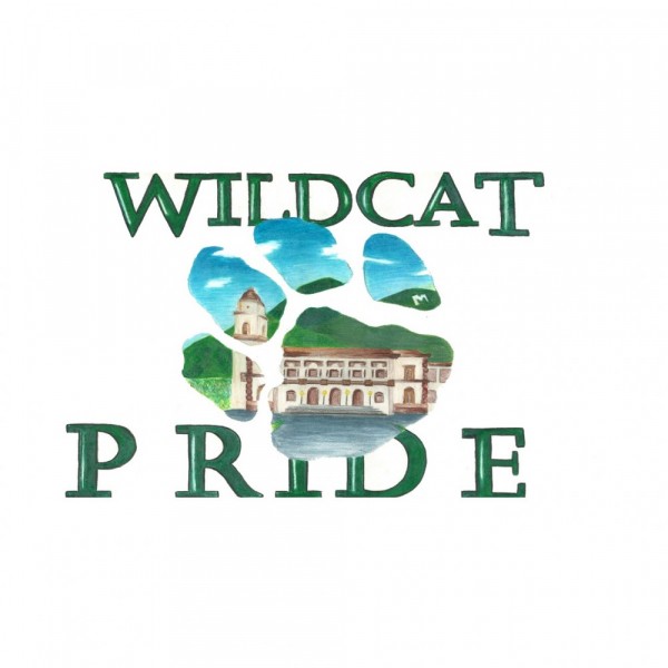 Wild CATS Team Logo
