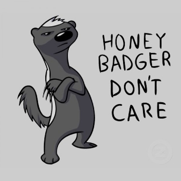 The Honey Badgers Team Logo