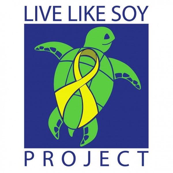 LiveLikeSoy Team Logo