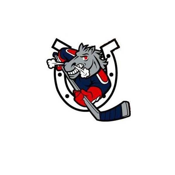 Saugerties Youth Hockey Association Team Logo