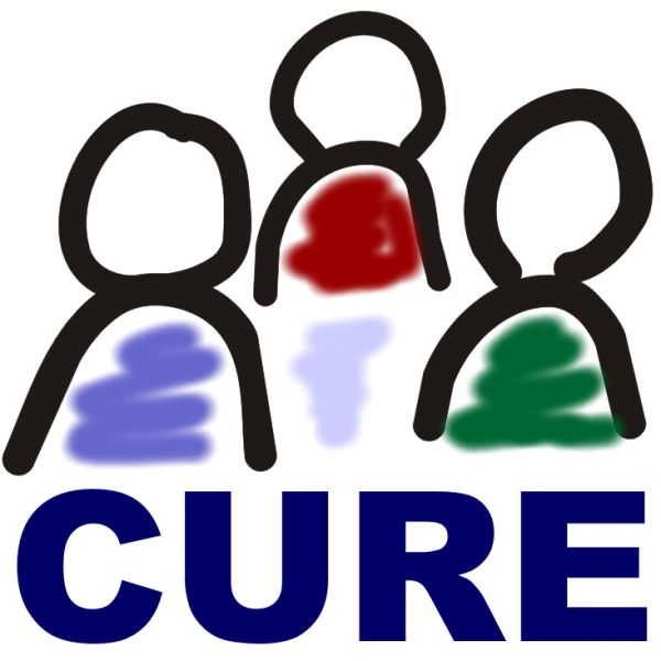 Lets Find a Cure Team Logo