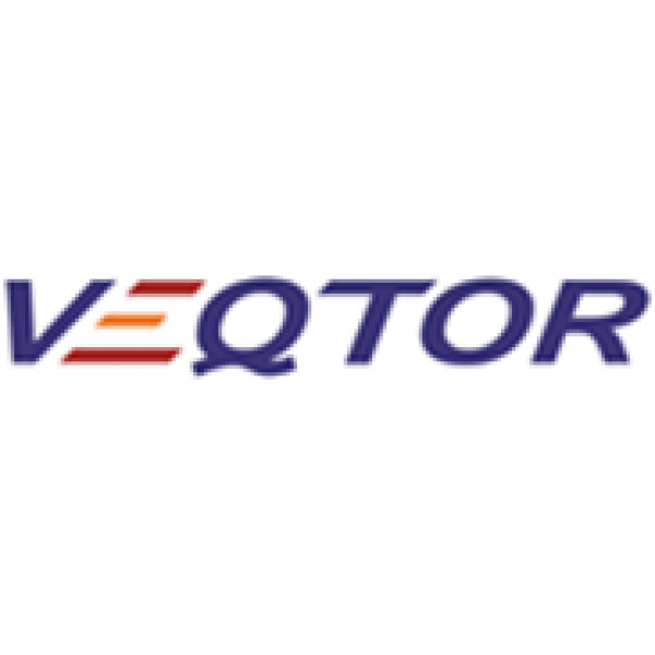 VEQtor Solutions Team Logo