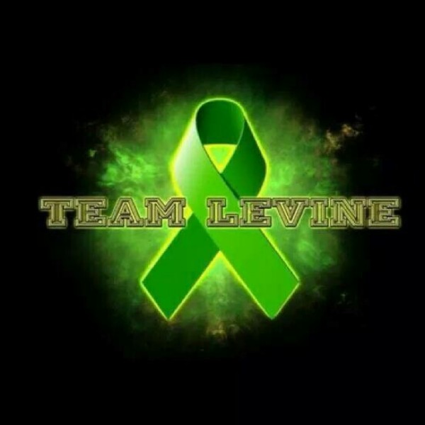 Team Levine Team Logo