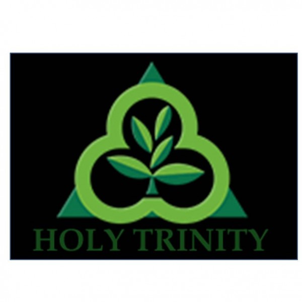 Holy Trinity Bald Eagles Team Logo