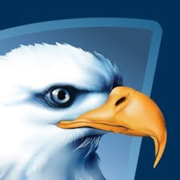 Americaneagle.com Team Logo