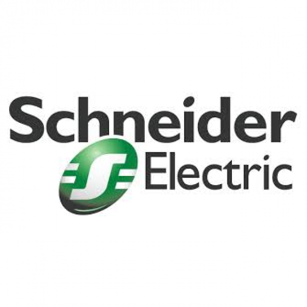Schneider Electric Team Logo