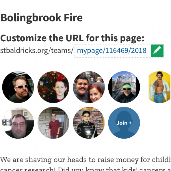 Bolingbrook Fire Team Logo