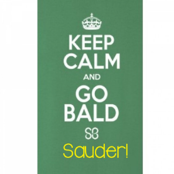 Team Sauder 2018 Team Logo